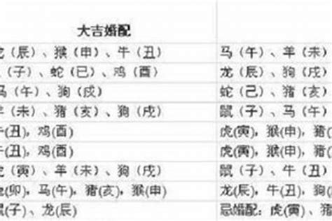 1997属什么|1997年属什么生肖 和什么属相最配